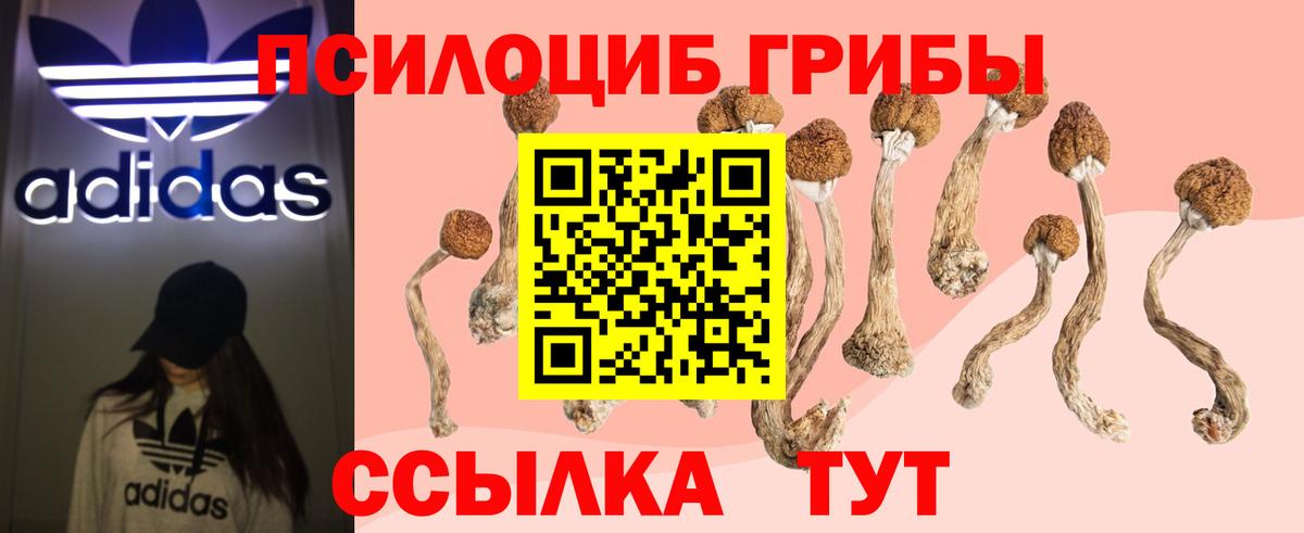 Севастополь  Псилоцибиновые грибы MAGIC MUSHROOMS  Вход с VPN 